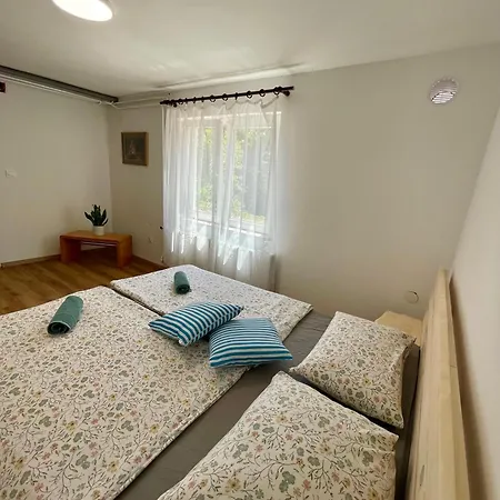 The Wood Nest * Borovnica