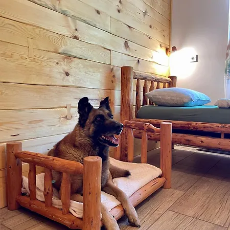 The Wood Nest - Forest View & Jacuzzi Apartamento Borovnica