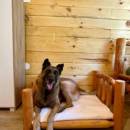 The Wood Nest Borovnica