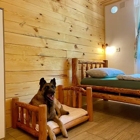 The Wood Nest * Borovnica