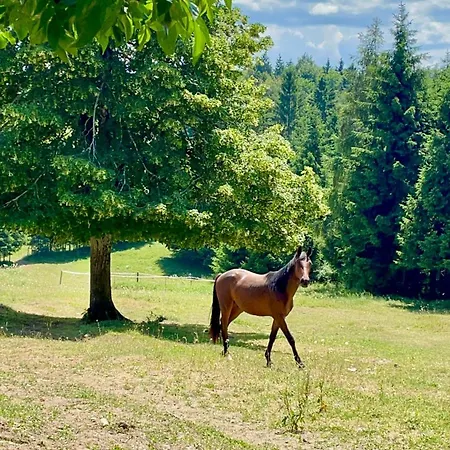 Apartamento The Wood Nest