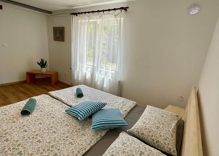 The Wood Nest * Borovnica