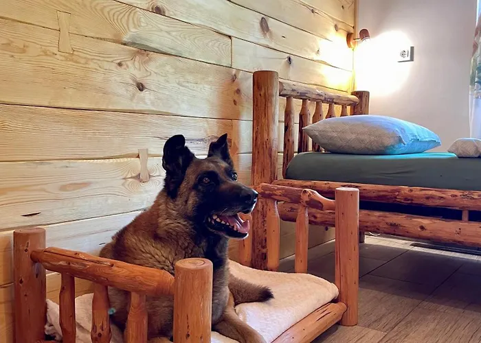 The Wood Nest Appartamento Borovnica