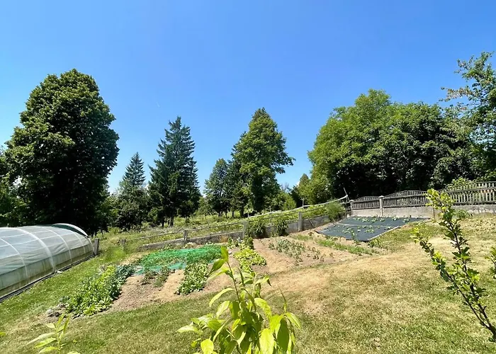 Lejlighed The Wood Nest Borovnica