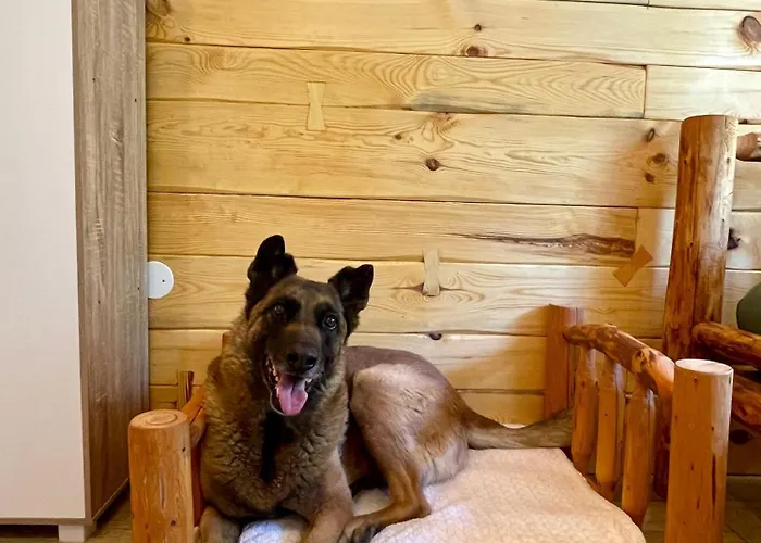 The Wood Nest Borovnica