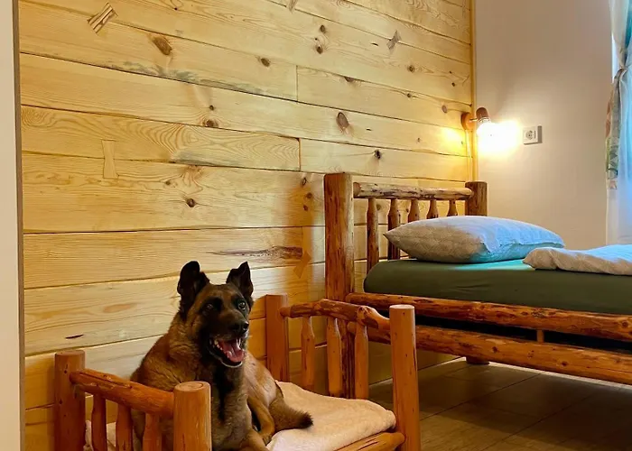 The Wood Nest * Borovnica