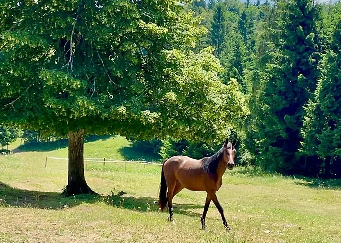 公寓 The Wood Nest